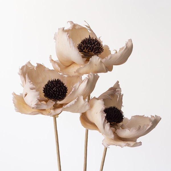 楽天市場】ハンドメイドフラワー 花材 即日出荷 パームフラワー