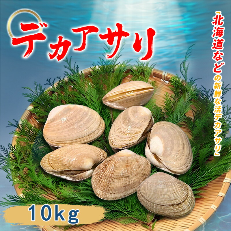 楽天市場】業務用 活デカアサリ 大きあさり 10kg 殻付き あさり 国産
