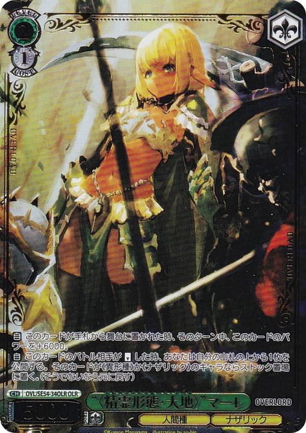 オーバーロード プレミアムブースター ヴァイス」の人気商品一覧