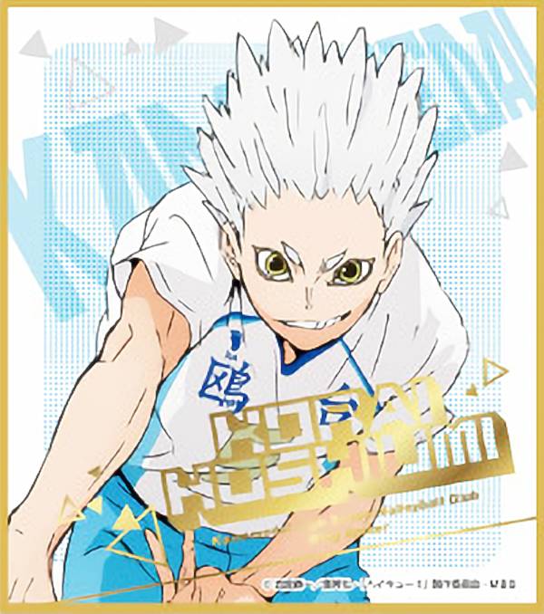 楽天市場】【星海光来】 ハイキュー!! ビジュアル色紙コレクション6