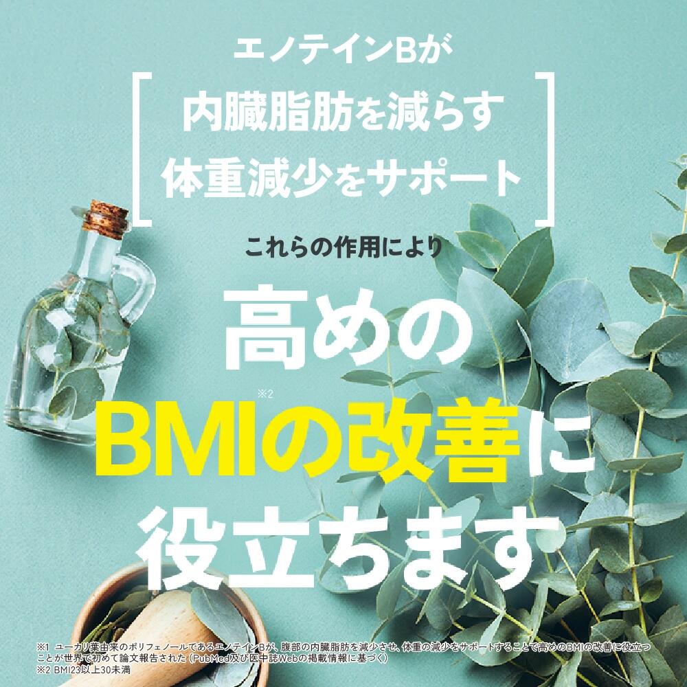 楽天市場】＼エントリーで最大ポイント20倍&最大10％OFF／【リゲイン