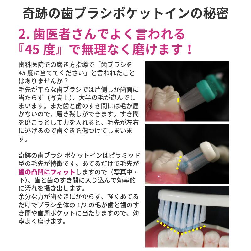 楽天市場】奇跡の歯ブラシ ポケットイン 10本セット 正規品 すき間に