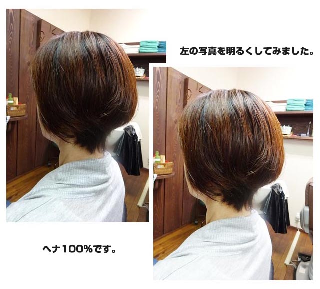 楽天市場】ナチュラルヘナ ヘナ 白髪染め ヘアカラー 天然 100