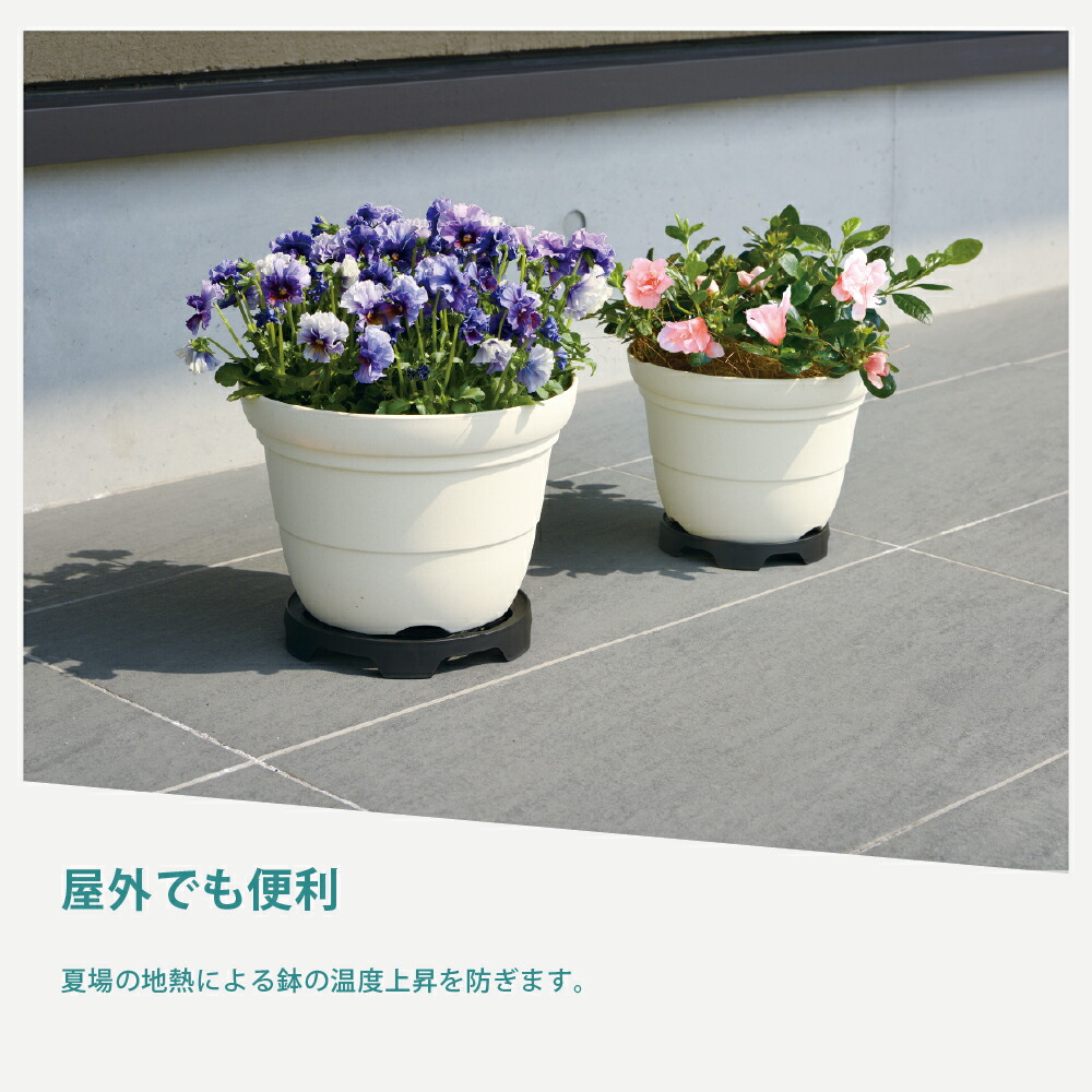 楽天市場】【全品MAX20%OFFクーポン 4日20:00〜】【公式直営】置くだけ