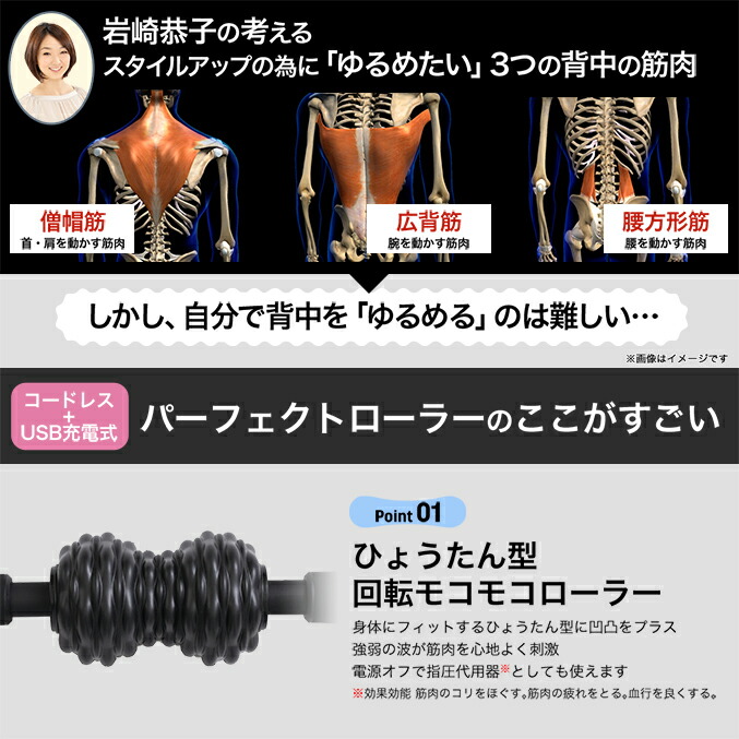 楽天市場】ブレストトップ パーフェクトローラー ☆後払い可！☆ 岩崎