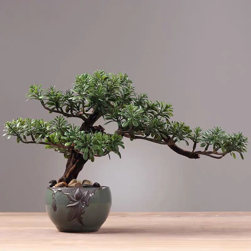 楽天市場】A048481インテリアグリーン 高級模造迎客松盆栽 置物 禅意迎