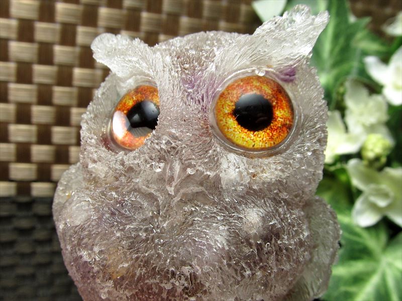 楽天市場】【全品P5倍】○【スーパーセブンサザレ入り フクロウ型