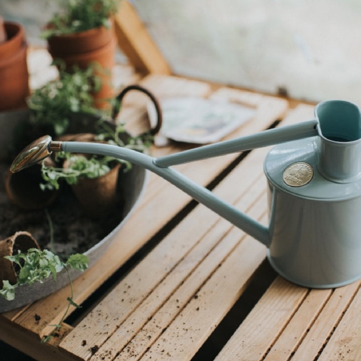 楽天市場】【HAWS ホーズ】Metal Indoor 1L 9色 グリーン サルビア