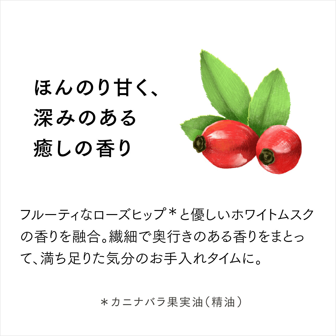 楽天市場】【 stem sai 公式】 ローション 化粧水 トナー 120ml 日本製