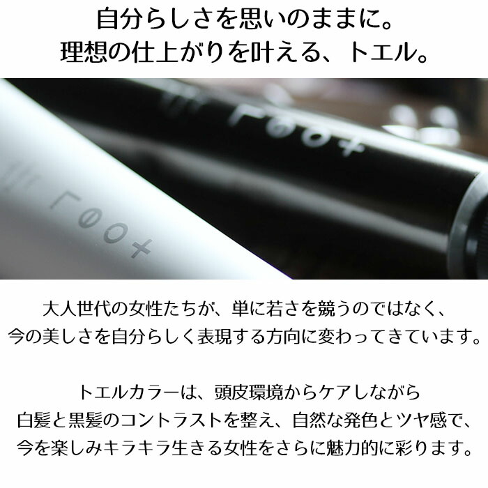 楽天市場】中野製薬 ナカノ キャラデコ パブェ caradeco paveグレイ