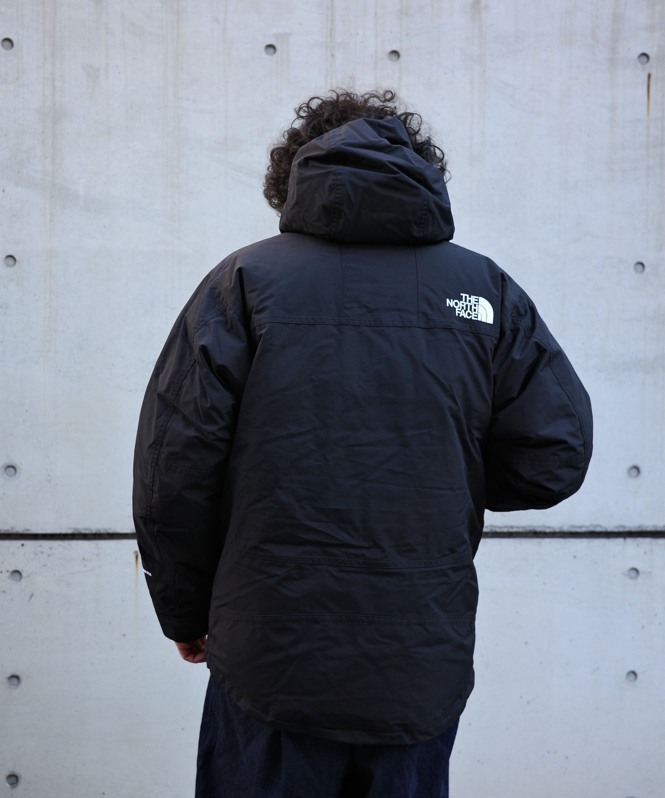 BEAVER｜THE NORTH FACE /ザ・ノース・フェイス Mountain Down Jacket