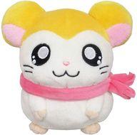 楽天市場】マフラーちゃんの通販