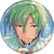 あんさんぶるスターズ‼︎ あんスタ フィーチャー2 缶バッジ 開花後