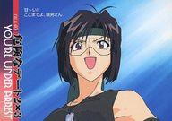 楽天市場】逮捕しちゃうぞ（コレクション｜ホビー）の通販