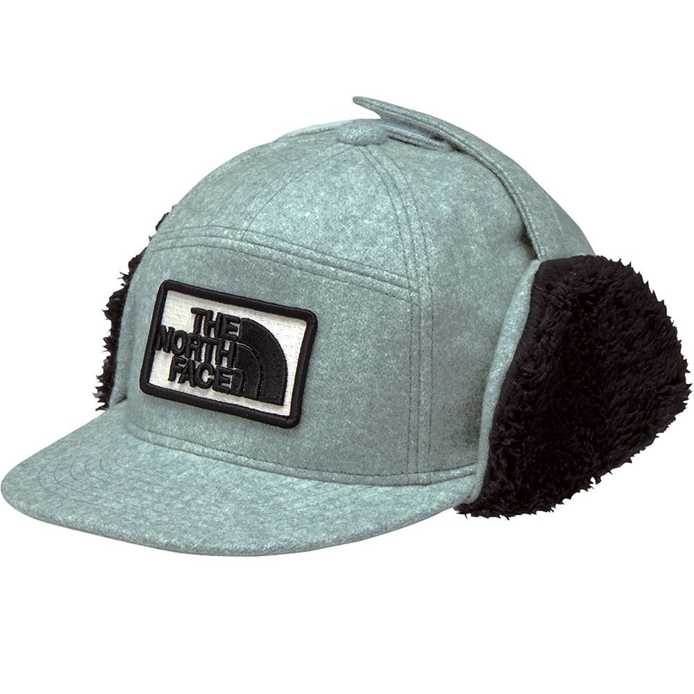 楽天市場】＼ポイント10倍／ザ・ノース・フェイス 帽子 キッズ 男の子