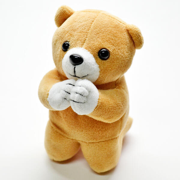 楽天市場】お祈りクマさん 001ホワイト ピンク ブルー ブラウン