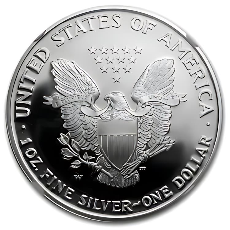 楽天市場】2004-W プルーフ アメリカン シルバー イーグル PF-69 NGC