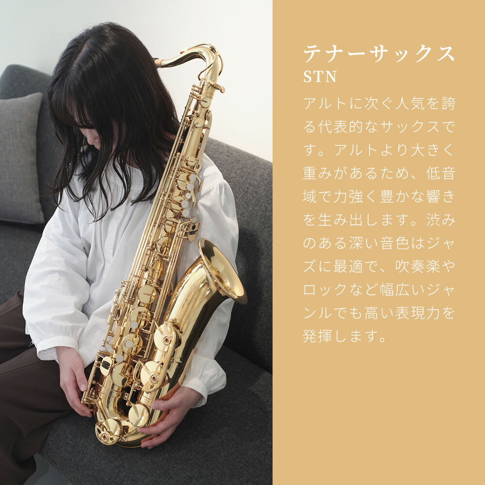 楽天市場】テナーサックス 初心者 入門セット Soleil STN-1