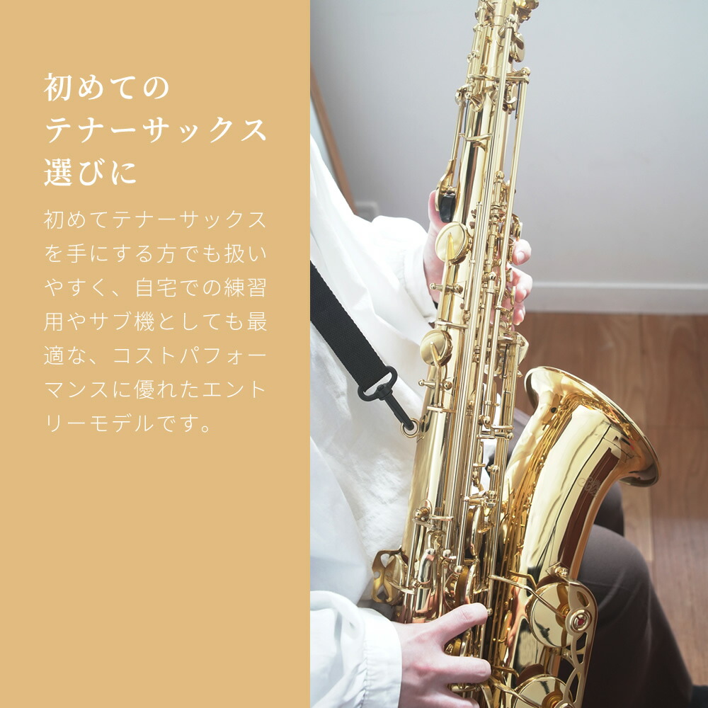 楽天市場】テナーサックス 初心者 入門セット Soleil STN-1