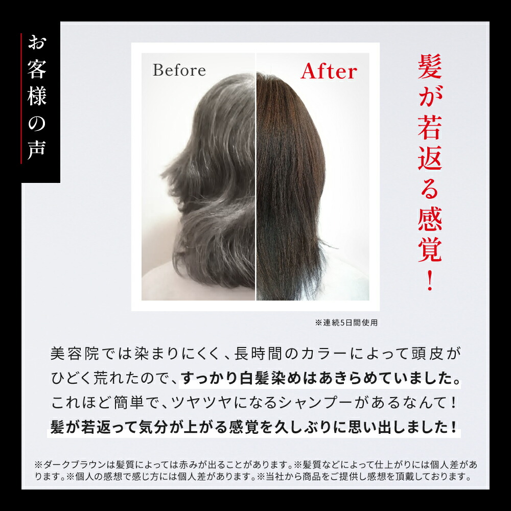 楽天市場】【4日20時から使える！クーポン対象商品】白髪染め