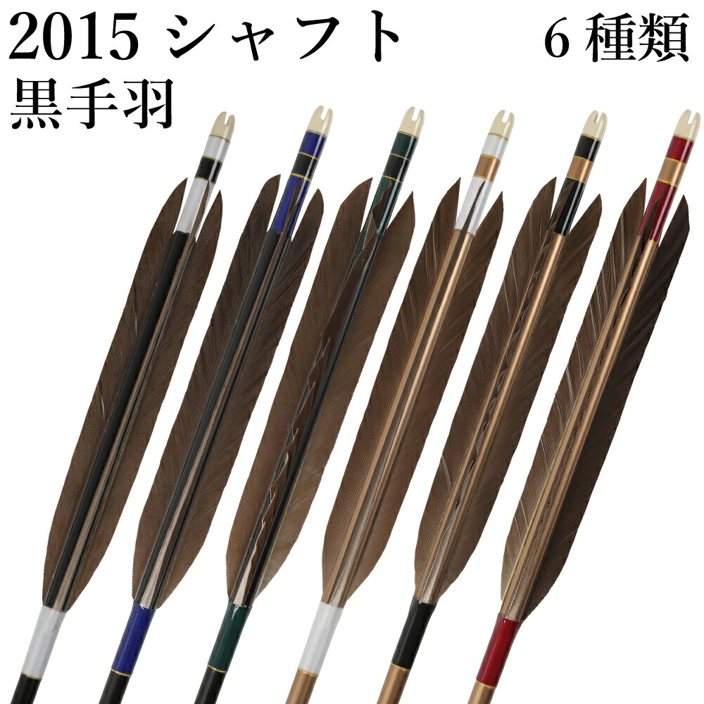 弓道　矢　easton xx75 2015 4本セット 遠的矢 1913シャフト 白グース 4種類 6本組 イーストン 黒 シャフト