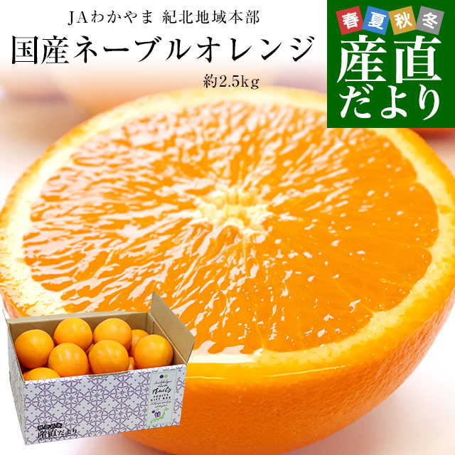 楽天市場】和歌山県 JAわかやま 紀北地域本部 国産ネーブルオレンジ L