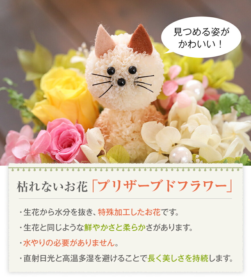 楽天市場】最短翌日配送 誕生日 花 ホワイトデー ひな祭り 卒業 卒園