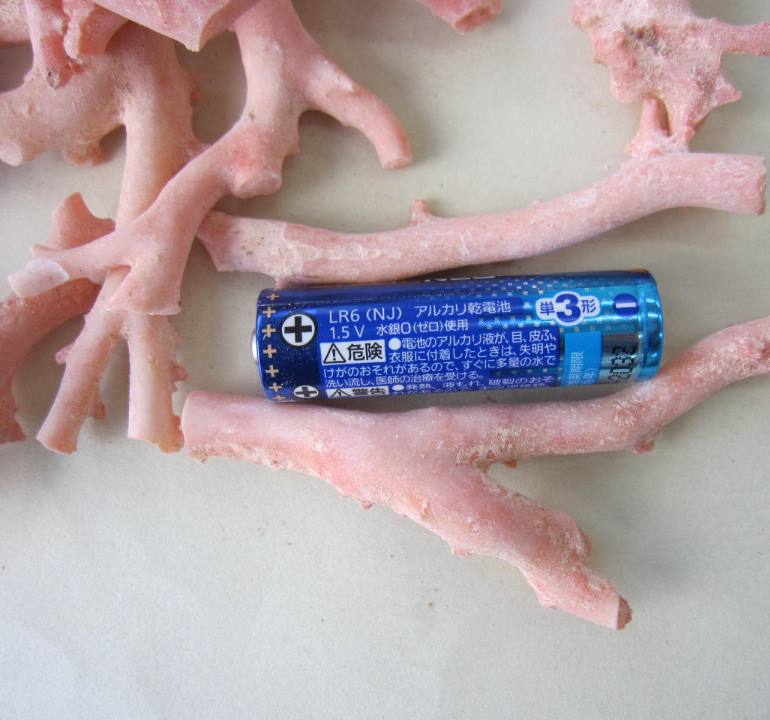 楽天市場】ピンク （ガーネ） 珊瑚 原木 1セット （375g入り