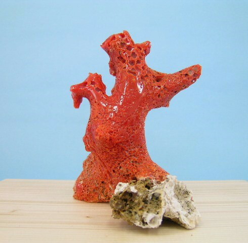 楽天市場】天然桃珊瑚 原木の通販