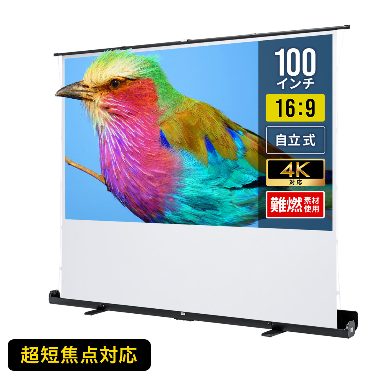 楽天市場】【クーポンで10％OFF！3/5(木) 23:59まで】【楽天1位受賞