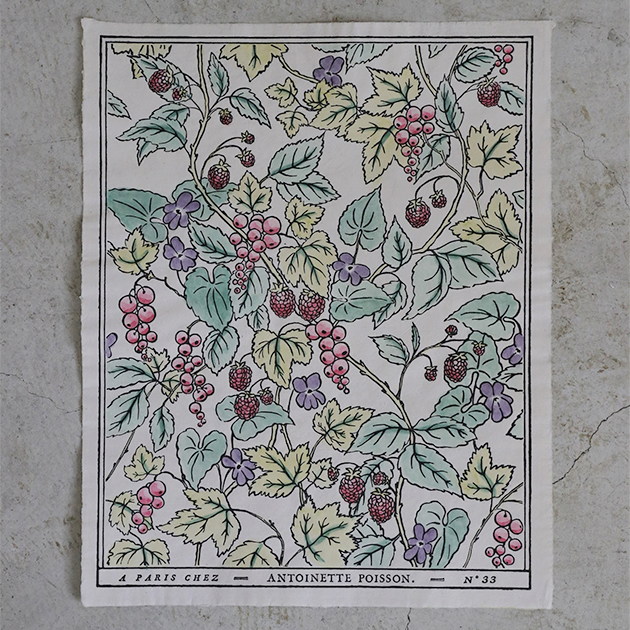 楽天市場】ドミノペーパー 33A 5色 Antoinette Poisson