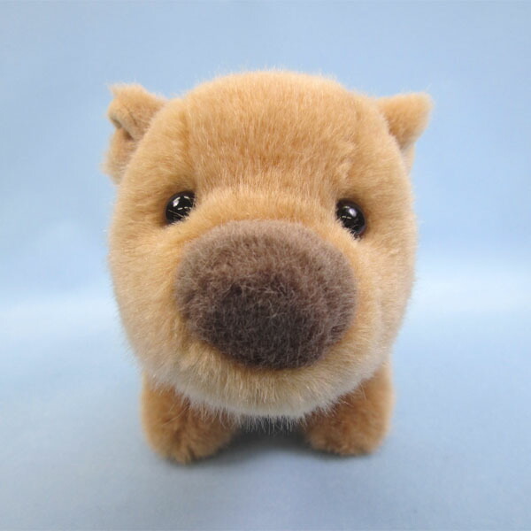 楽天市場】【スターチャイルド 正規品】 ぬいぐるみ うり坊 （1671