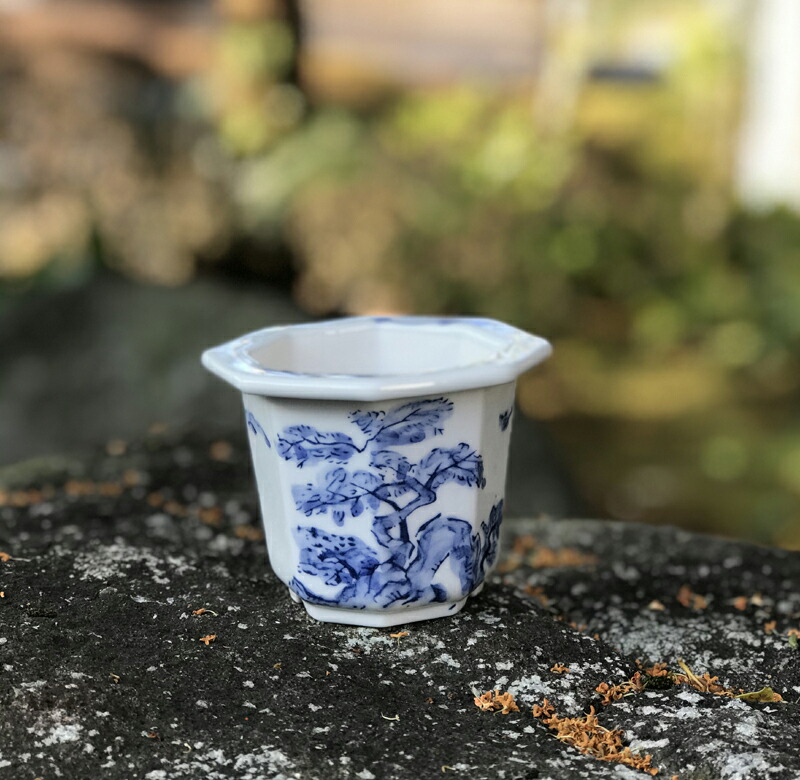 楽天市場】3号 山水画 落款 幸峰 盆栽鉢 八角 植木鉢 : 干支お雛様のせ