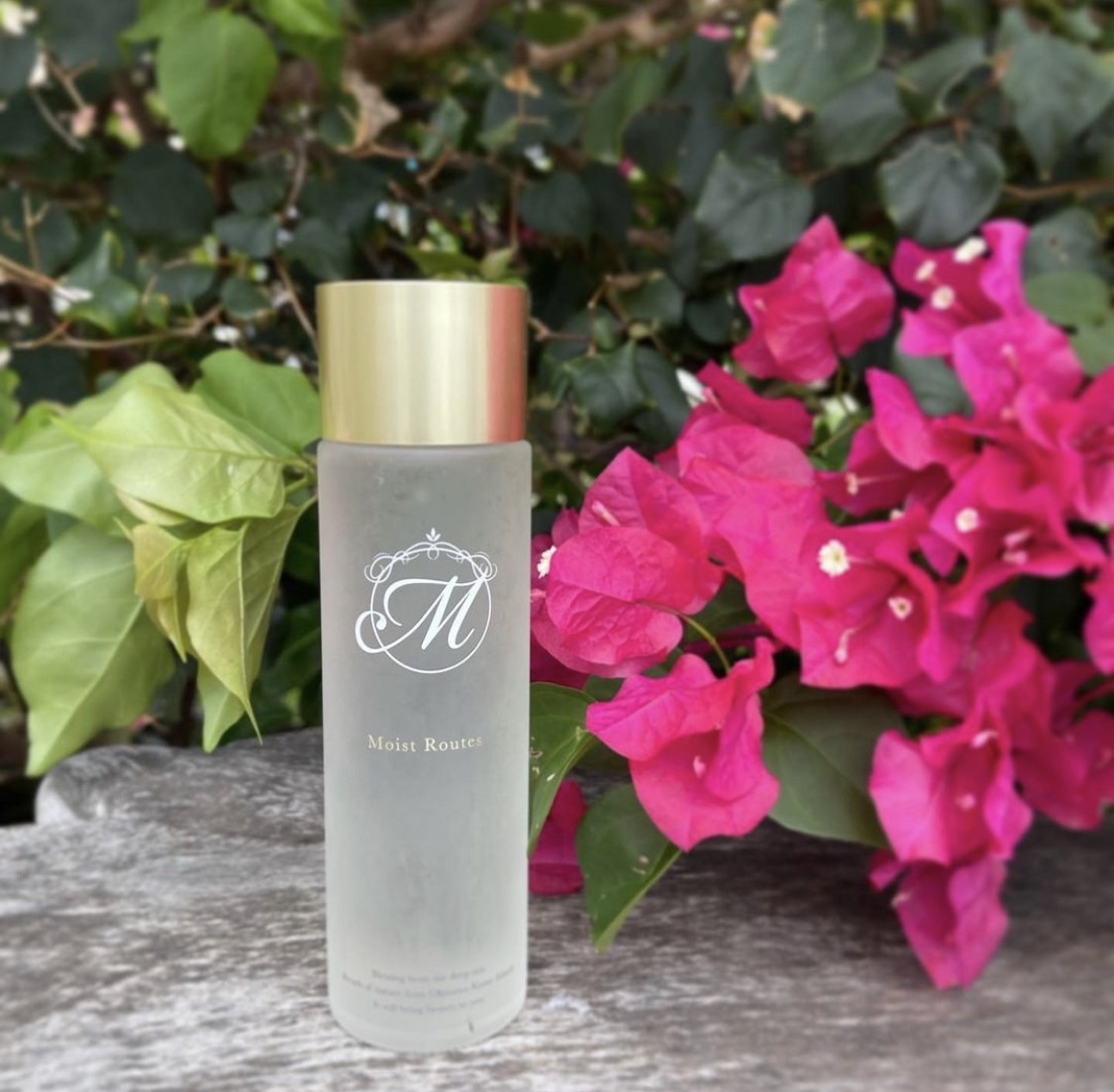 楽天市場】モイストルーツ 「楽天で買えるのは当店だけ！正規販売店