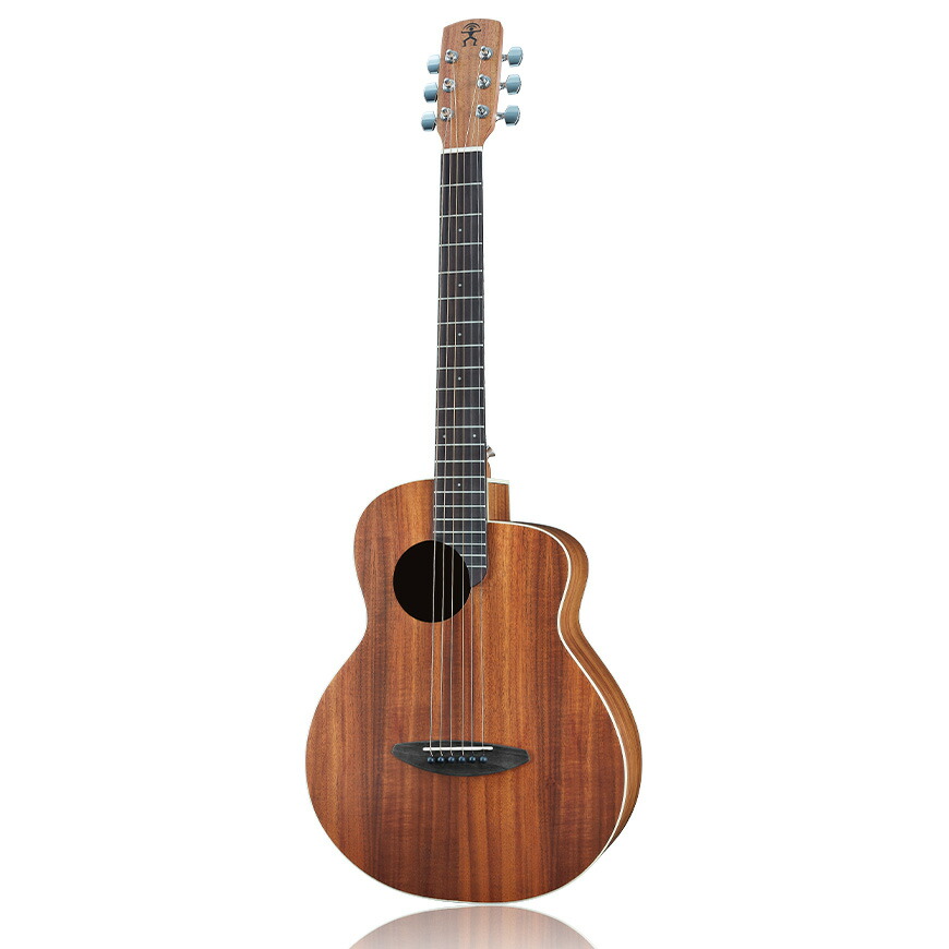 アコースティックギター anuenue」の人気商品一覧 | 安い商品を通販