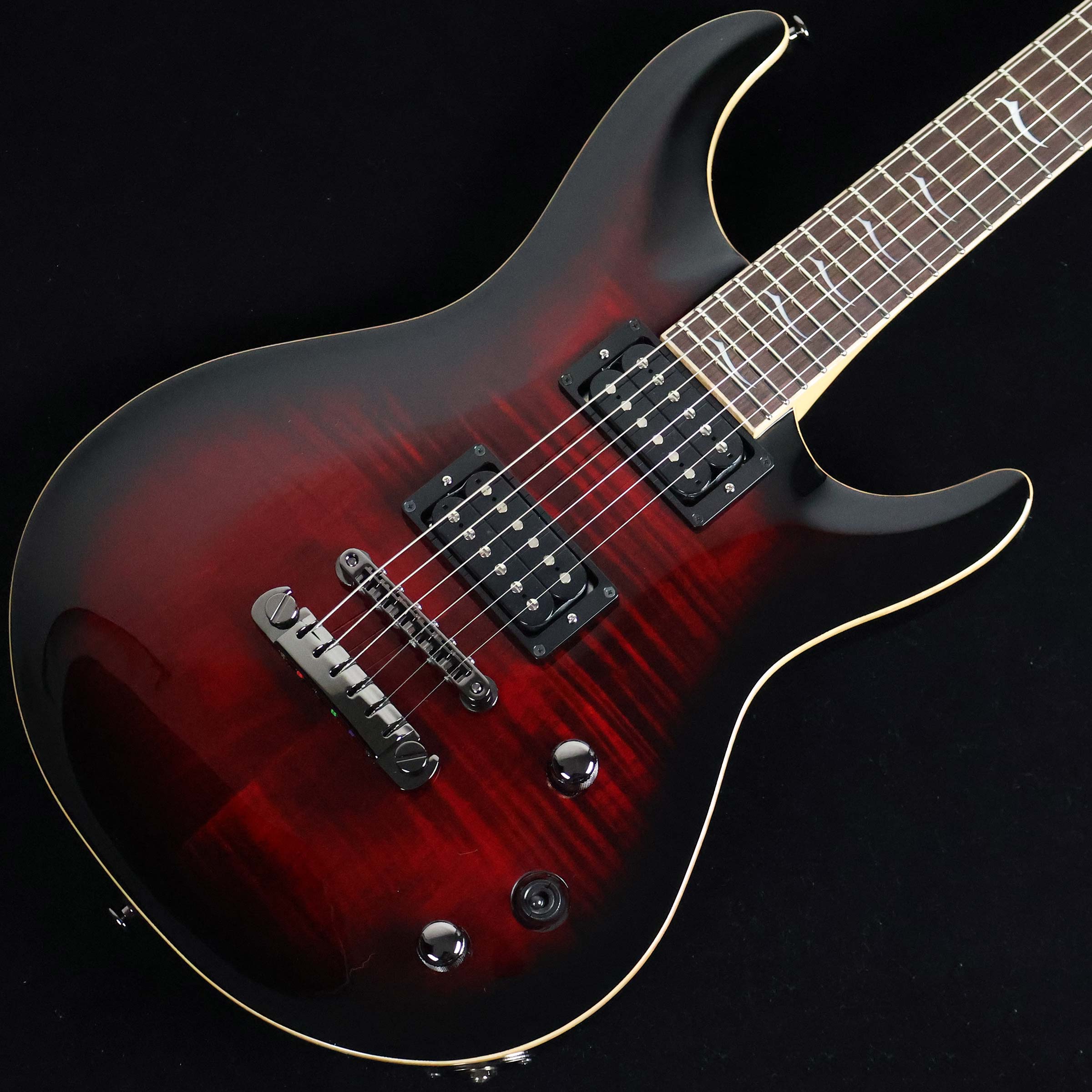 楽天市場】Fujigen EXPERT ELANの通販