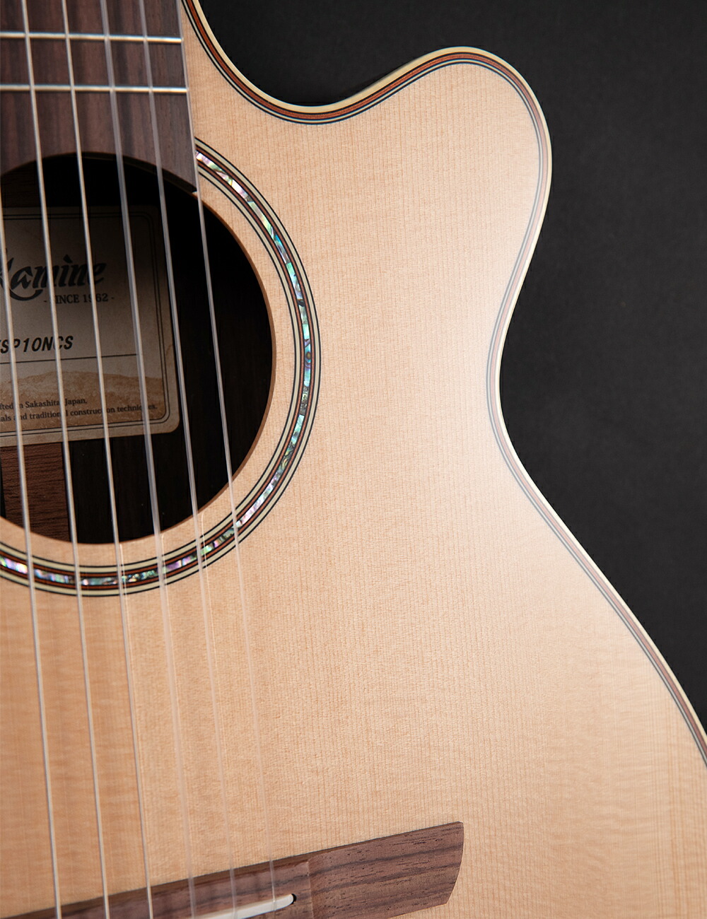 楽天市場】Takamine TSP10NCS エレガットギター ナイロン弦 タカミネ