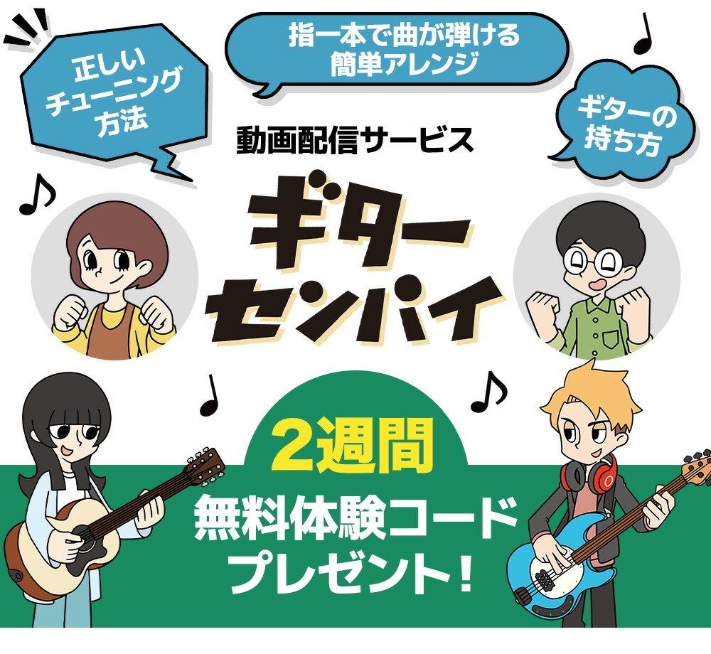 楽天市場】Ibanez RGV250 BK ブラック 初心者14点セット 【充電式