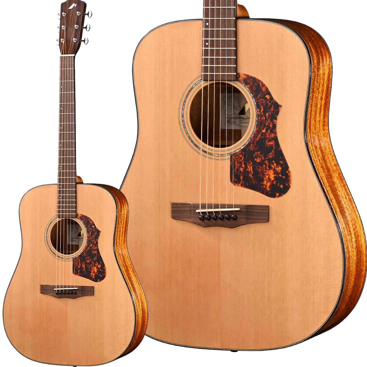 楽天市場】モーリス アコースティックギター morris m-351 natの通販