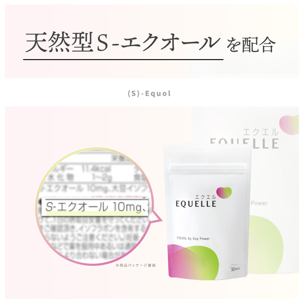楽天市場】【先着順 最大500円他複数クーポン配布中】【3/12に発送予定