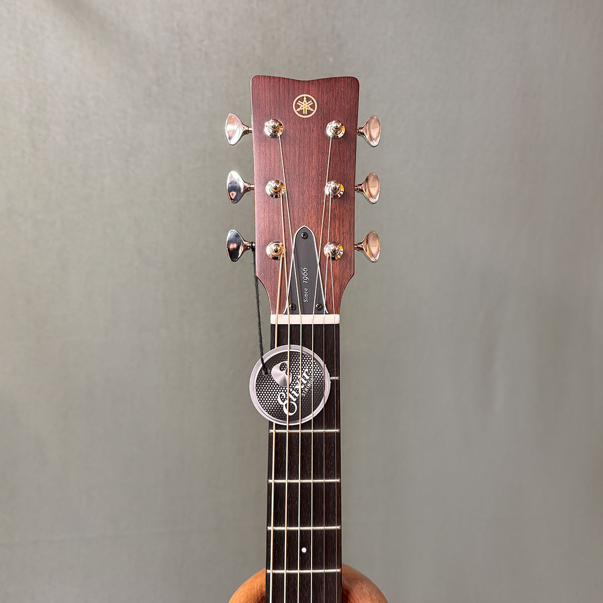 楽天市場】【新品】ヤマハ FG5 Gross レッドラベルシリーズ YAMAHA FG5