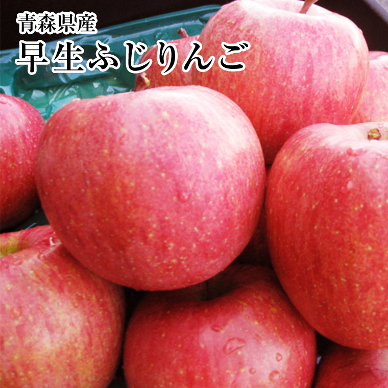 青森県産 ＂ 弘前ふじ ＂ りんご 加工用 20kg 産地直送 リンゴ 林檎