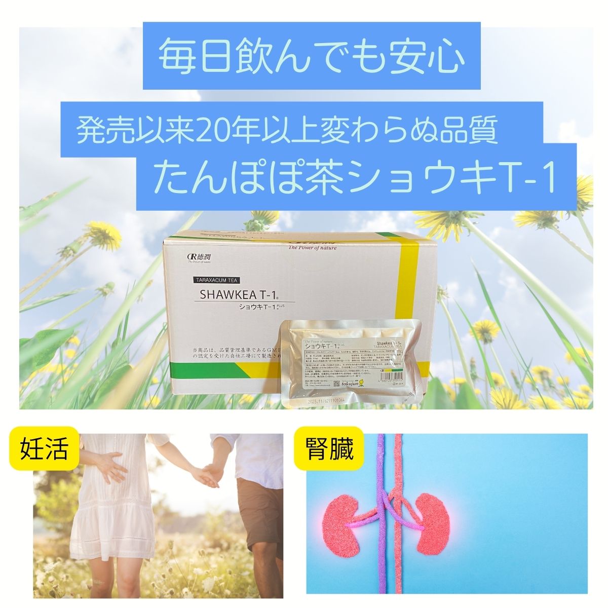 楽天市場】【月間優良ショップ連続受賞店】ショウキT-1 プラス 30包