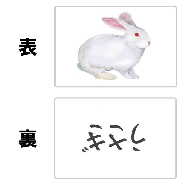 楽天市場】キッズ ベビー 教材 ひらがな カタカナ 七田式フラッシュ