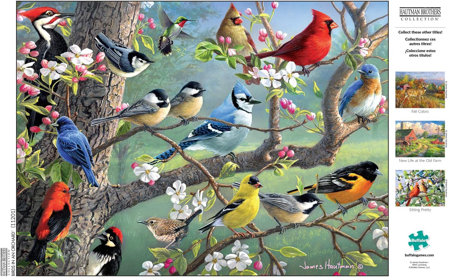 楽天市場】ジグソーパズル 海外製 1000ピース 果樹園の鳥 ハウトマン