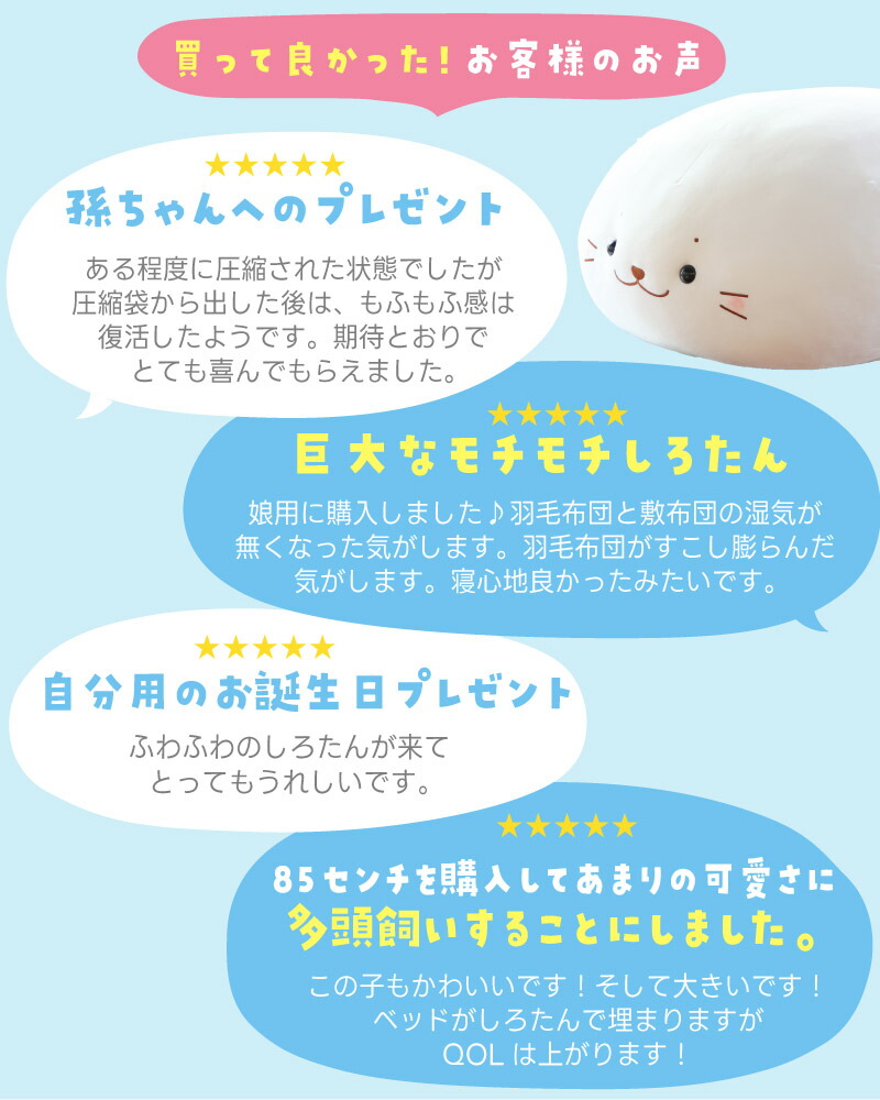 楽天市場】しろたん 抱き枕 キャラクター ぬいぐるみ ふわもち 特大