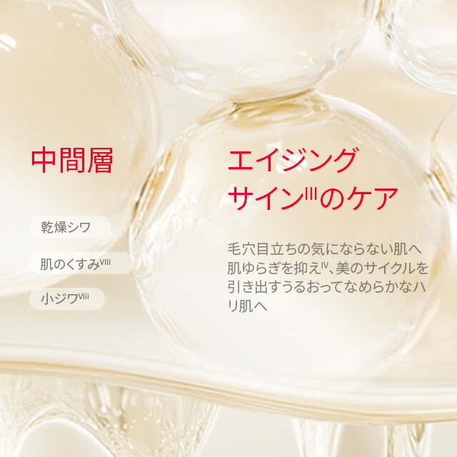 楽天市場】【公式】ピテラ ユース エッセンシャル セット / ピテラ