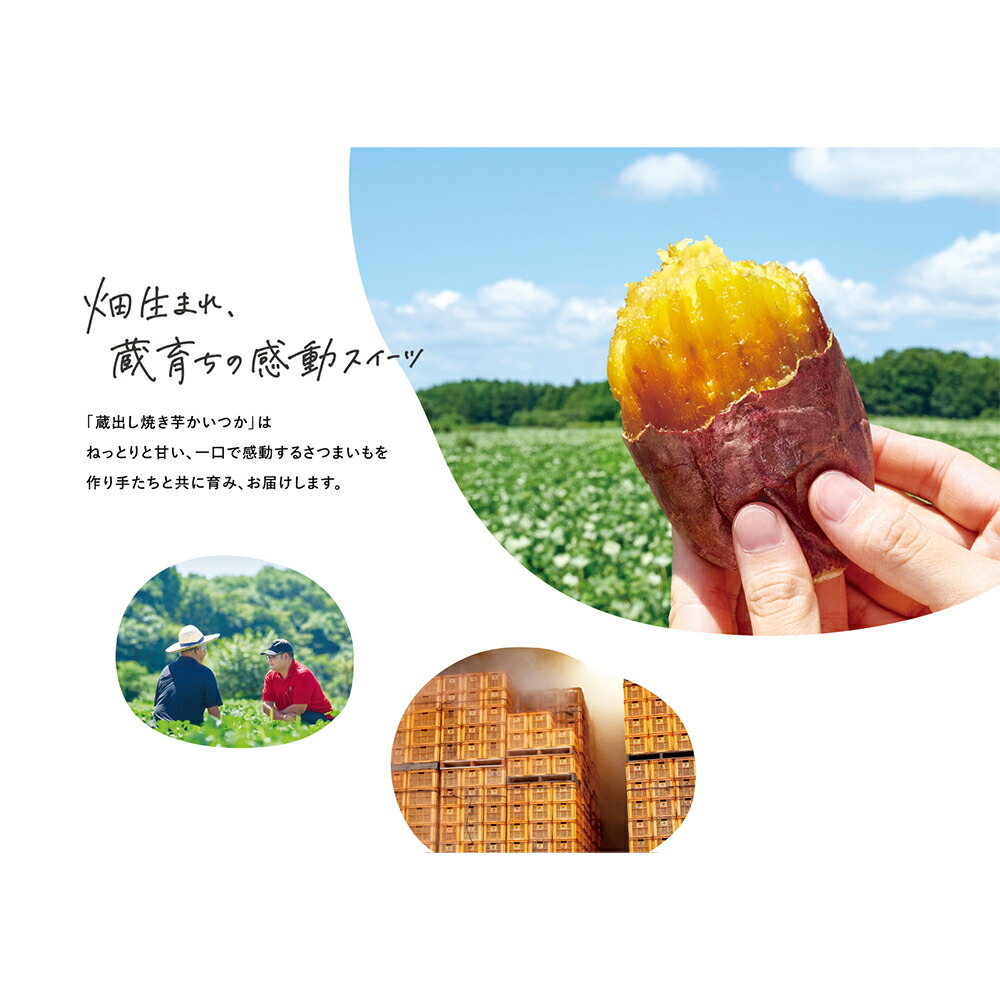 楽天市場】訳あり30%OFF [冷凍] 茨城県産 シルク天使 焼き芋 500g