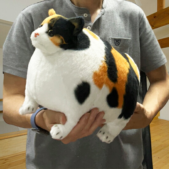 楽天市場】ふとっちぃZoo にゃんこ 三毛猫 猫のぬいぐるみ 丸い猫 デブ