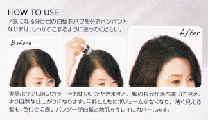 楽天市場】ルアン SMHヘアファンデーション 12g【送料無料】 (ブラック